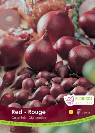 ONION SETS RED 80PK