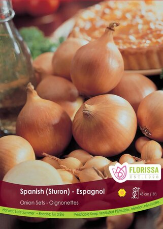 ONION SETS SPANISH 80PK