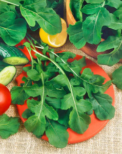 OSC Herb Arugula Roquette