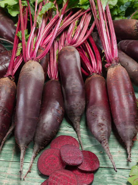 OSC Veg. Beet Cylindra