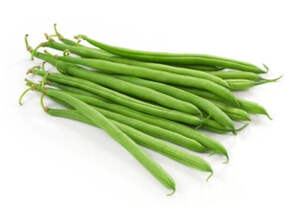 OSC Veg. Bush Bean Blue Lake
