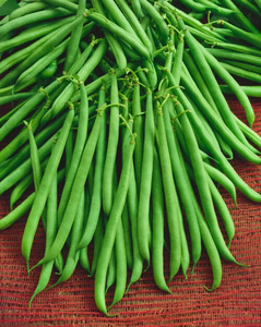 OSC Veg. Bush Bean Slenderette
