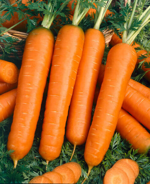 OSC Veg. Carrots Baby Finger