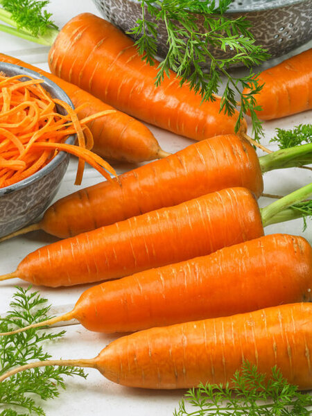 OSC Veg. Carrots Chantenay Red