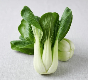 OSC Veg. Chinese Cabbage Pak Choi