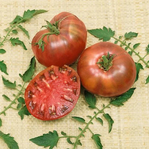 OSC Veg. Heirloom Tomato Cherokee Purple