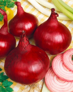 OSC Veg. Onions Red Globe