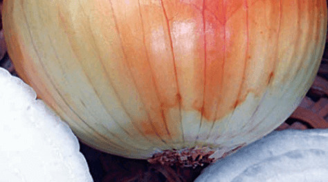 OSC Veg. Onions Walla Walla
