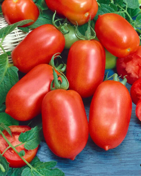 OSC Veg. Paste Tomato Roma VF
