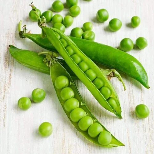 OSC Veg. Peas Laxtons Prog. 9