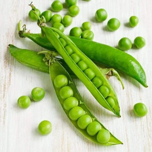 OSC Veg. Peas Laxtons Prog. 9