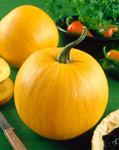 OSC Veg. Pie Pumpkin Small Sugar or Pie