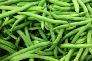 OSC Veg. Pole Bean Kentucky Wonder Green