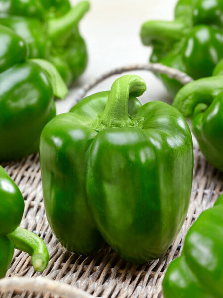 OSC Veg. Sweet Bell Pepper Early Calwonder