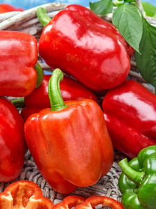 OSC Veg. Sweet Bell Pepper Summer Red