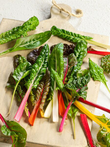 OSC Veg. Swiss Chard Bright Lights