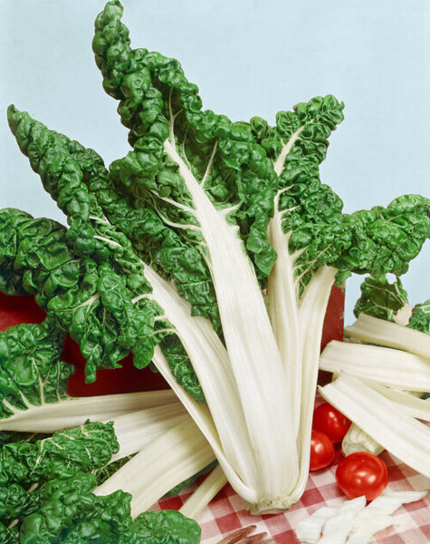 OSC Veg. Swiss Chard Fordhook Giant