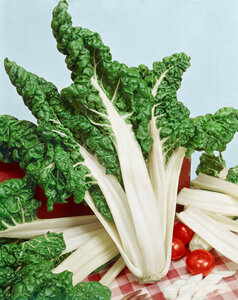 OSC Veg. Swiss Chard Fordhook Giant