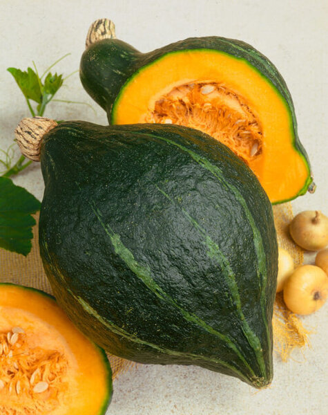 OSC Veg. Winter Squash Green Hubbard
