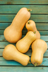 OSC Veg. Winter Squash Waltham Butternut