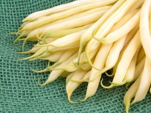 OSC Veg. Yellow Bush Bean Pencil Pod