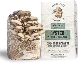 OYSTER MUSHROOM KIT