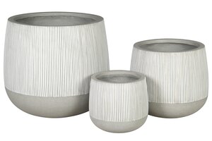PLANTER RD. FICONSTONE LG
