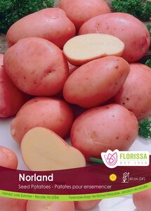 POTATO NORLAND 2KG