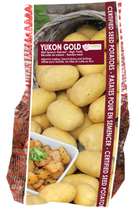POTATO YUKON GOLD 2 KG