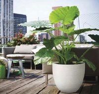 Pots & Decor