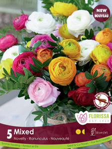 RANUNCULUS PEONY MIXED Pkg 10