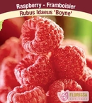 Boiny Raspberry RASPBERRY BOYNE 1 GAL - Oxford Insta-Shade