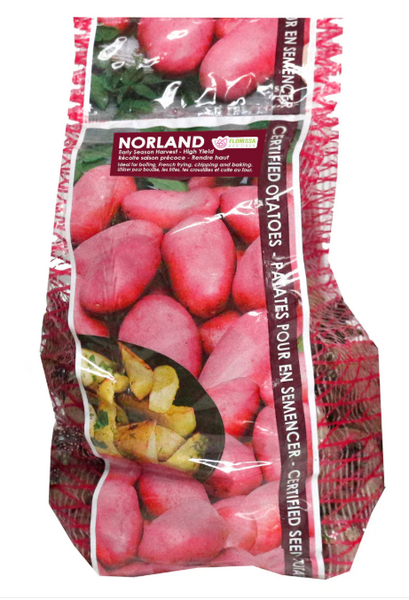 SEED POTATOES NORLAND RED 2KG