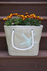 Starfish Tote 609