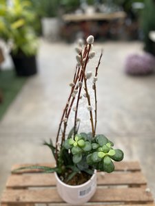 SUCCULENT PLANTER