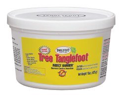 Tanglefoot Tree Insect Barrier w/ wrap