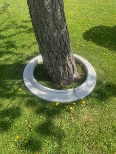 TREE RING 30" CIRCLE ( EDGING / CURB )