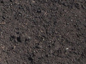 TRIPLE MIX /YARD (Peat Loam, Black Muck, WormCastings)