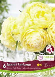 TULIP SECRET PERFUME 6PKG