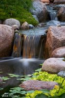 Water Gardens